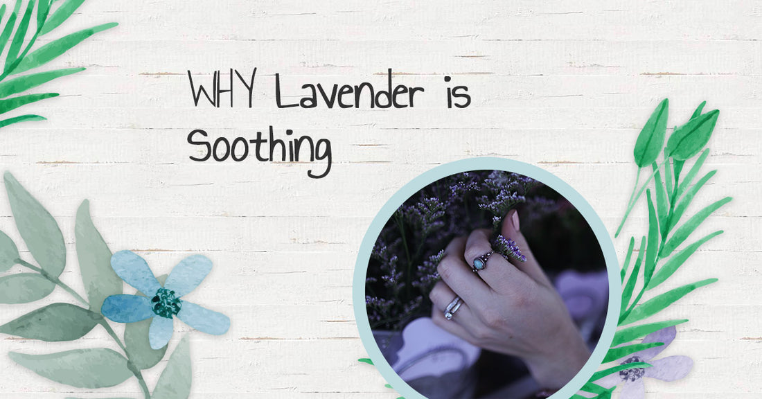 Why Lavender Is Soothing