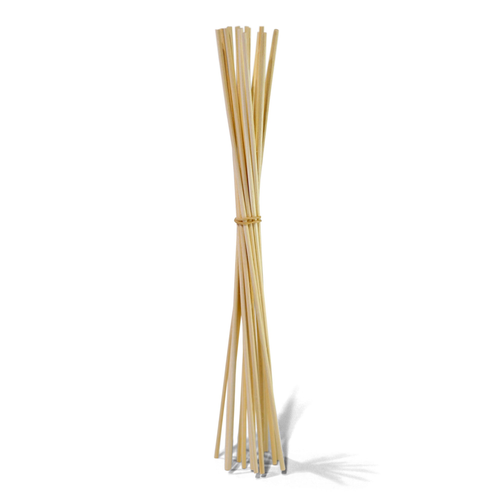 A replacement bundle of beige rattan reed diffuser sticks tied together.